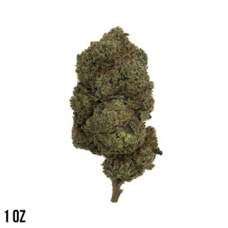 Gummy Bear | Hybrid | 1oz